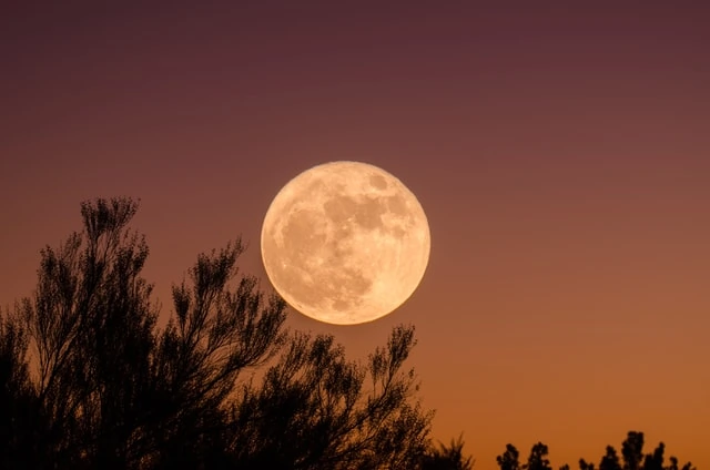 Full moon over silhouetted trees at sunset, symbolizing hope and commitment.