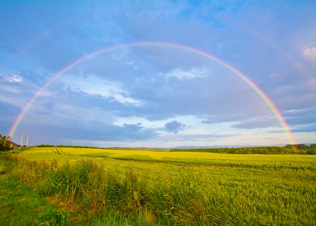 A big rainbow over a meadow